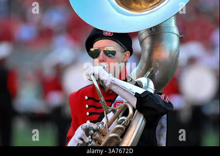 10. November 2012: Raleigh, North Carolina, USA – die North Carolina State Wolfpack Band tritt vor dem heutigen Spiel auf. NC State besiegt Wake Forest 37-6 im Carter-Finley Stadium in Raleigh, North Carolina. (Bild: © Anthony Barham/ZUMAPRESS.com) Stockfoto