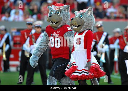 10. November 2012: Raleigh, North Carolina, USA: North Carolina State Wolfpack Maskottchen während des heutigen Spiels. NC State besiegt Wake Forest 37-6 im Carter-Finley Stadium in Raleigh, North Carolina. (Bild: © Anthony Barham/ZUMAPRESS.com) Stockfoto