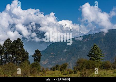 Wunderschöne grüne Rolling Hills und Berge von Mukharka, Rasuwa im Himalaya in Nepal Stockfoto