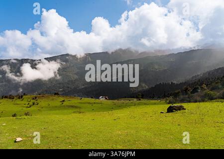 Wunderschöne grüne Rolling Hills und Berge von Mukharka, Rasuwa im Himalaya in Nepal Stockfoto
