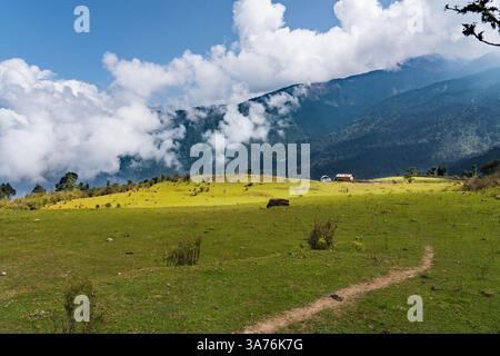 Wunderschöne grüne Rolling Hills und Berge von Mukharka, Rasuwa im Himalaya in Nepal Stockfoto