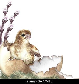 Osterrahmen mit süßem geschlüpftem Huhn und Weidenzweigen. Eine handgezeichnete Aquarellillustration. Markieren Sie sie. Für die Gestaltung von Grußkarten und Invi Stockfoto