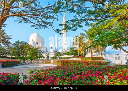Blick auf die Scheich-Zayed-Moschee, die größte Moschee in den VAE, von einem Gartenbereich in Abu Dhabi, Vereinigte Arabische Emirate. Stockfoto