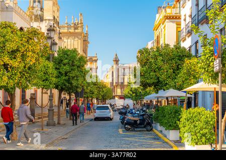 Farbenfrohe Gebäude mit Straßencafés auf einer baumbestandenen Kopfsteinpflasterstraße neben der Kathedrale im Stadtteil Barrio Santa Cruz in Sevilla, Spanien. Stockfoto