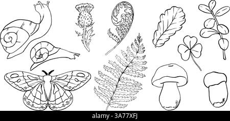 Vektorskizze von Waldpflanzen Set. Motten, Schnecken, Pilze und Gras Illustration. Zeichnung von botanischem Stift und Tinte. Farn mit schwarzen Tinten in Reihe Stock Vektor