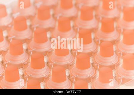 Stillleben von pinkfarbenen Glasflaschenstopfen Stockfoto