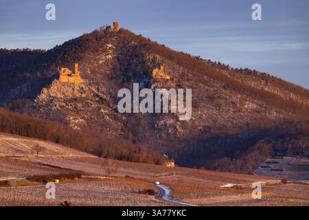 Ruinen von Catle Chateau de Saint-Ulrich, Chateau du Girsberg und Chateau du Haut-Ribeaupierre bei Ribeauville, Elsass, Frankreich Stockfoto