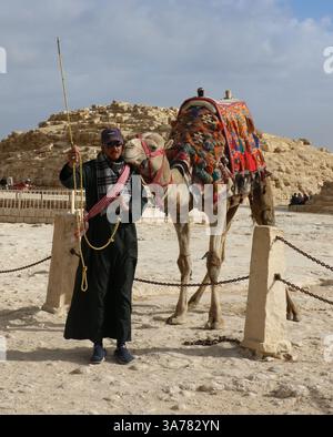 Tiere/Kamele in der Wüste in der Nähe der Pyramiden Stockfoto
