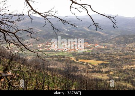 Dorf Kirki Evros Griechenland erholt sich nach einem massiven Waldbrand, Wald- und Bergrestaurierung, Umweltkatastrophe. Stockfoto