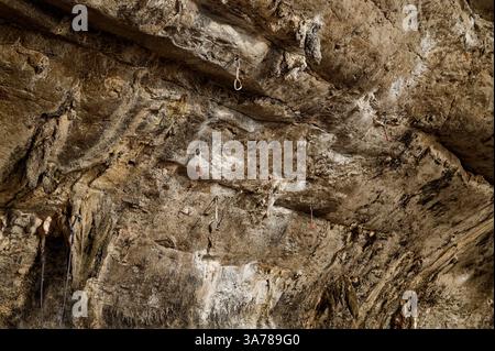 Klettern von Schnapsschnecken, die in einer überhängenden Kalksteinmauer in Tonsai auf den nächsten Aufstieg warten Stockfoto
