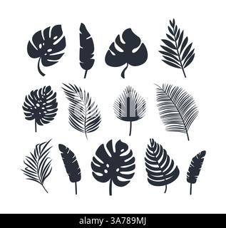 Kollektion von Silhouetten mit tropischen Pflanzenblättern in verschiedenen Formen und Größen, ideal für botanische Themen Stock Vektor
