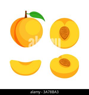 Sammlung von Pfirsichscheiben und ganzen Früchten. Vektorabbildung Stock Vektor