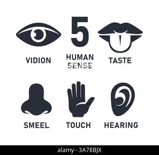 Set aus fünf menschlichen Sinnen. Sehen, Hören, Geruch, Geschmack und Berührung. Vektorabbildung Stock Vektor