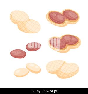 Peanut snack food set. Half and nuts peanut. Whole and peeled peanuts. Stock Vektor