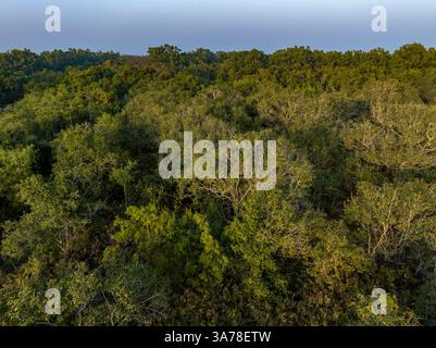 Ein Blick aus der Vogelperspektive auf die Sundarbans mit dem weltweit größten Mangrovenwald in Bagerhat, Bangladesch. Stockfoto