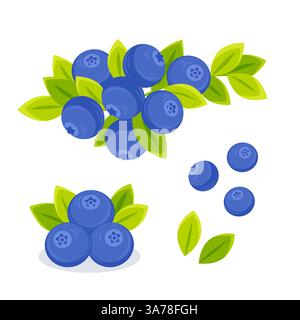 Heidelbeerset. Frische, reife Heidelbeeren. Beeren auf Zweigen mit Blättern. Saftige Beeren aus wildem Wald. Stock Vektor