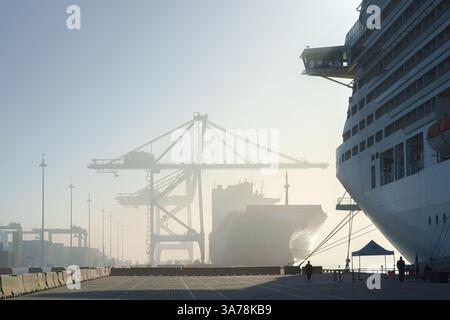 Ain Sokhna, Ägypten - 11. März 2023, Panoramablick auf den Hafen mit MSC-Schiffen, bei Sonnenaufgang, Ain Sokhna, Ägypten Stockfoto