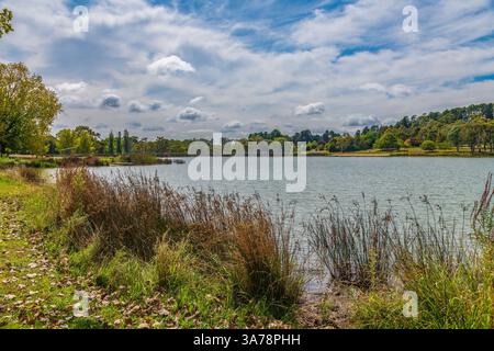 Jahreszeitwechsel am Lake Canobolas im Herbst bei Orange am Fuße des Mount Canobolas, im Zentralwesten von NSW, Australien. Stockfoto