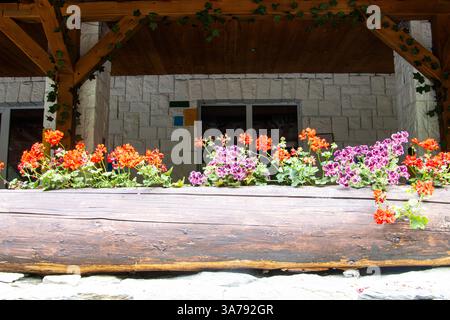 Wunderschöne Blumen auf der Veranda eines Hauses auf dem Land Stockfoto