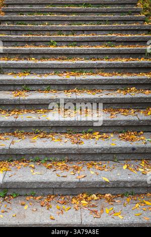 Blick auf graue Steintreppen, die mit Laubblättern bedeckt sind, im Herbst in Quebec, Kanada Stockfoto