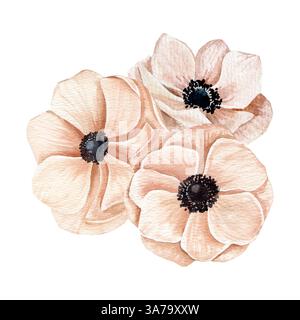 Aquarellhandgezeichnete Komposition mit verschiedenen pfirsichrosa Anemonen in blühenden Blüten. Kann auf Stoffen, Papierprodukten und anderen Stoffen verwendet werden. Stockfoto