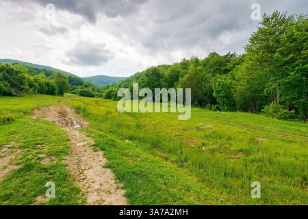 Feldweg durch bewaldete Landschaft. Offroad-Pfad. Wunderschöne ländliche Sommerlandschaft in Bergen. Abenteuer in der Natur vor dem Sturm. dar Stockfoto