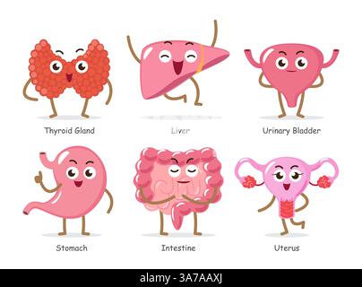 Menschliche innere Organe. Ein Satz lustiger medizinischer Cartoonfiguren. Einschließlich Schilddrüse, Leber, Harnblase, Magen, Darm, Uterus. Isoliert Stock Vektor