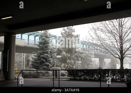 Moderne Glas-Fußgängerbrücke und schneebedeckte immergrüne Bäume, gesehen von unter einer Betonüberführung während eines kalten Wintertages in der Stadt. Stockfoto