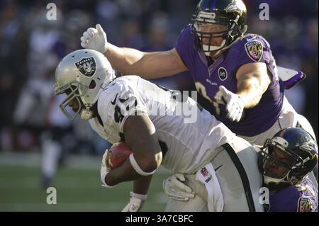 11. November 2012 - Baltimore, MD, USA - Baltimore Ravens Albert McClellan (50) und Paul Kruger (99) stürzen die Oakland Raiders Marcel Reece im M&T Bank Stadium in Baltimore, Maryland, am Sonntag, den 11. November 2012. Die Baltimore Ravens besiegten den Oakland Raider mit 55:20. (Kreditbild: © Christopher T. Assaf/MCT/ZUMAPRESS.com) Stockfoto