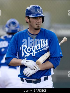 20. Februar 2013 - Surprise, AZ, USA - Brandon Wood der Kansas City Royals während eines Intrasquad-Spiels im Frühjahr am Mittwoch, den 20. Februar 2013, in Surprise, Arizona. (Kreditbild: © John Sleezer/MCT/ZUMAPRESS.com) Stockfoto