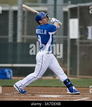 20. Februar 2013 - Surprise, AZ, USA - Johnny Giavotella der Kansas City Royals folgt in 2013 Surprise, Arizona, in einem IntrasQuad-Spiel im Frühjahr. (Kreditbild: © John Sleezer/MCT/ZUMAPRESS.com) Stockfoto
