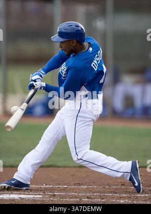 20. Februar 2013 - Surprise, AZ, USA - Jarrod Dyson der Kansas City Royals bricht seinen Schläger bei einem Intrasquad-Spiel im Frühjahr am Mittwoch, den 20. Februar 2013, in Surprise, Arizona. (Kreditbild: © John Sleezer/MCT/ZUMAPRESS.com) Stockfoto