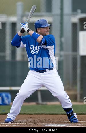 20. Februar 2013 – Surprise, AZ, USA – Kansas City Royals ernannte den Hitter Billy Butler bei einem Intrasquad-Spiel im Frühjahr am Mittwoch, den 20. Februar 2013, in Surprise, Arizona. (Kreditbild: © John Sleezer/MCT/ZUMAPRESS.com) Stockfoto