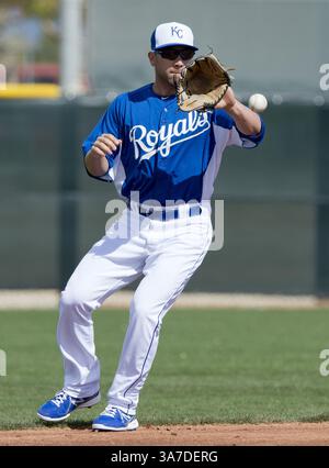 20. Februar 2013 - Surprise, AZ, USA - Kansas City Royals Shortstop Anthony Seratelli ist ein Grounder, bevor er den Läufer während eines Intrasquad-Spiels im Frühjahr am Mittwoch, den 20. Februar 2013, in Surprise, Arizona, zuerst rauswirft. (Kreditbild: © John Sleezer/MCT/ZUMAPRESS.com) Stockfoto