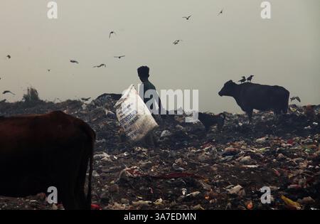 20. April 2012 - Neu-Delhi, Neu-Delhi, Indien - Extreme Wetterbedingungen, giftige Substanzen, übler Gestank, streunende Tiere, Krankheiten, Fliegen und die allgemeine Verachtung anderer Teile der Gesellschaft sind nur einige der Gefahren und Schwierigkeiten für die Pflücker, die auf Mülldeponien leben und arbeiten, mit denen täglich zu kämpfen haben. (Bild: © Chinky Shukla/ZUMAPRESS.com) Stockfoto
