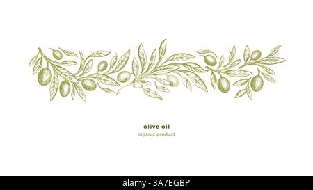 Olivfarbener Rand. Bioöl. Vintage-Gravur. Vektorbaum, Texturblätter auf weißem Hintergrund. Horizontales mittelmeerband Stock Vektor