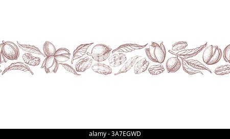Pekannusdruck. Texturrand, Grafikstreifen. Vektormuttern, Blätter. Vintage Botanik handgezeichnet Hintergrund. Bio-Eiweißfutter Stock Vektor