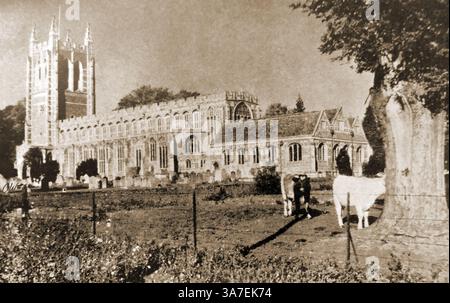Bilder von Großbritannien in den 1940er Jahren - Kühe, die nahe der East Anglian Holy Trinity Wool Church in Long Melford, Suffolk, UK.jpg - 3A grasen Stockfoto
