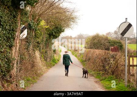 Mädchen mit grünem Mantel, das an einem kalten Frühlingstag in Wales einen Schokoladen-Labrador-Hund entlang einer Landstraße führt Stockfoto