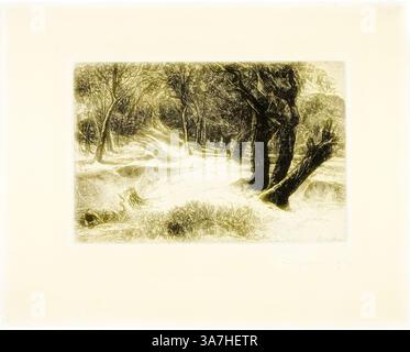 Eine ruhige Landschaft mit einem gewundenen Pfad durch einen Wald, flankiert von hohen, strukturierten Bäumen. Das Zusammenspiel von Licht und Schatten hebt die sanften Wellen des Geländes hervor und schafft eine ruhige, zeitlose Szene., Klassische Kunst mit einem modernen Twist neu interpretiert von Artotop, The Three Sisters, um 1868, Francis Seymour Haden, Englisch, 1818-1910, England, Ätzen und Trockenspitzen auf Elfenbein-Webpapier Stockfoto