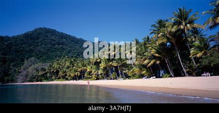 Australien. Queensland. Dunk Island. Tropischen Strand. Stockfoto