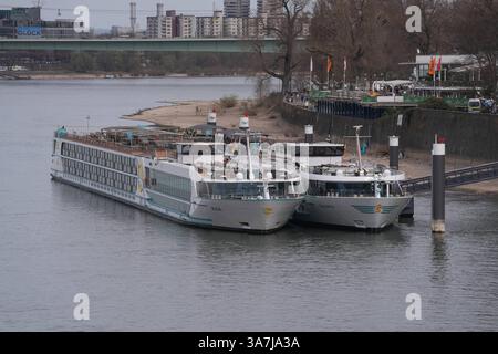 Flusskreuzfahrtschiffe, Anlegestelle am Rhein, Schiffe A-Rosa und Annika, Tourismus, Schifffahrt, Flussreisen, Luxuskreuzfahrten, Panorama-Fenster, Sonnendeck, Liegeplatz, Wasserspiegelung, Passagierbetrieb, Gastronomie an Bord, Freizeit und Erholung, Rheinuferpromenade, Spaziergänger, Restaurants mit Außengastronomie, Fähnchen und Flaggen, moderne Brücke im Hintergrund, urbane Architektur, Hochhäuser, Seilbahn über dem Rhein, Industriekulisse, Nachhaltigkeit in der Schifffahrt, Bedeutung für den Tourismus, wirtschaftliche Aspekte, Verkehrsanbindung, Köln *** Flusskreuzfahrtschiffe, Liegeplatz auf der Schifffahrt Stockfoto