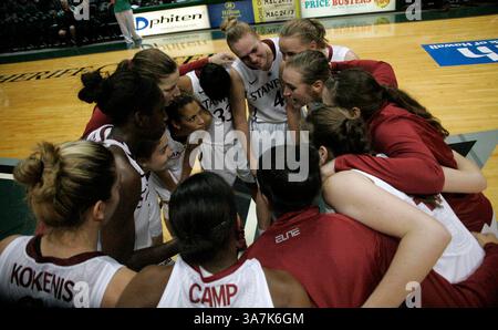 16. November 2012 – Honolulu, HI, Vereinigte Staaten von Amerika – 16. November 2012: Stanford feiert und verärgert den Sieg über den Top-Rang Baylor beim Jack in the Box Rainbow Wahine Classic im Stan Sheriff Center in Honolulu, HI. (Bild: © Michael Sullivan/Cal Sport Media/ZUMAPRESS.com) Stockfoto