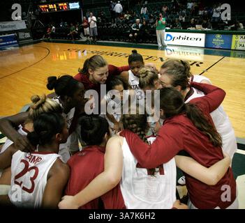 16. November 2012 – Honolulu, HI, Vereinigte Staaten von Amerika – 16. November 2012: Stanford feiert und verärgert den Sieg über den Top-Rang Baylor beim Jack in the Box Rainbow Wahine Classic im Stan Sheriff Center in Honolulu, HI. (Bild: © Michael Sullivan/Cal Sport Media/ZUMAPRESS.com) Stockfoto