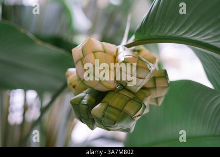 Eine Nahaufnahme von Ketupat, einem traditionellen Reisknödel aus gewebten Kokosblättern, das häufig bei festlichen Anlässen wie Eid al-Fitr gegessen wird. Die Stockfoto