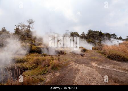 Hawaii National Park, HI, USA, 9. Dezember 2017: Dampf steigt aus geothermischen Quellen im Hawaii Volcanoes National Park auf und hebt den dynamischen Vulkan hervor Stockfoto