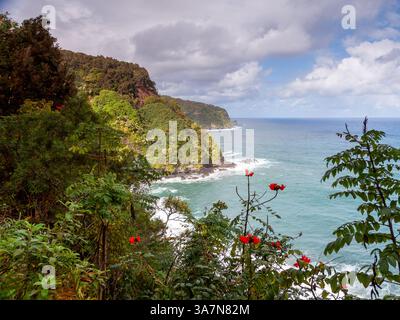 Erleben Sie die atemberaubende Landschaft von Mauis Küste entlang der Road to Hana mit üppigem Grün, farbenfrohen Blüten und beeindruckenden Klippen Stockfoto