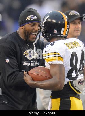 2. Dezember 2012 – Baltimore, MD, USA – der Pittsburgh Steelers Wide Receiver Antonio Brown chatten mit dem noch verletzten Baltimore Ravens im Linebacker Ray Lewis vor dem Spiel in Baltimore, Maryland, am Sonntag, den 2. Dezember 2012. (Kreditbild: © Doug Kapustin/MCT/ZUMAPRESS.com) Stockfoto