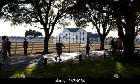 3. Dezember 2012: Parker, Texas, Vereinigte Staaten von Amerika - 2. Dezember 2012: Fans feierten eine Gedenkfeier für den Schauspieler Larry Hagman auf der Southfork Ranch in Parker, Tx. Die Southfork Ranch ist der Ort, an dem ein Großteil der berühmten Dallas TV-Serie gedreht wurde. (Bild: © Daniel Goncalves/Cal Sport Media/ZUMAPRESS.com) Stockfoto