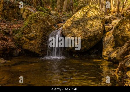 Kleiner Wasserfall in wundervollem Wald in der Nähe der Troodos Berge Stockfoto
